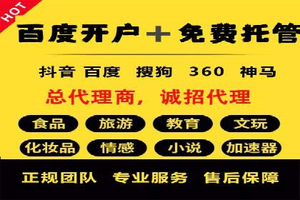 某某sem代运营公司：打造高效广告投放的秘诀